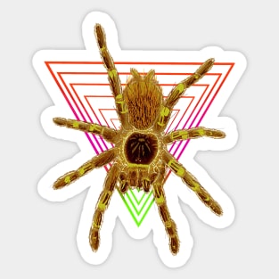 Tarantula “Vaporwave” Triangle V22 (Invert) Sticker